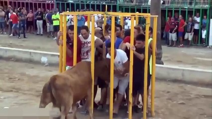 매우 무모한! 그냥 무서운 그것을보고