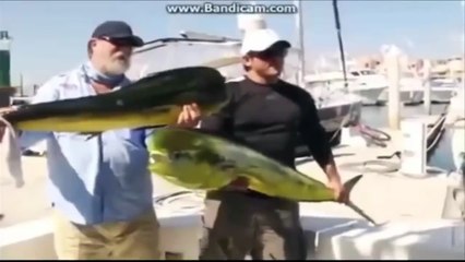 충격적인 낚시 순간 2017 - 괴물, 물고기, 미친, 메기