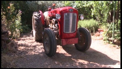 2017 08 16 - Reinié Raybaud, Pouèto, Vigneiroun e Felibre Majourau. Realisacioun Felip Reig - Image Jóuseto Brunel, Felip Reig