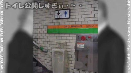 【衝撃】嘘のような本当の衝撃の写真！よく見るととんでもなくやばい・・・思わず二度見してしまうおもしろ画像・写真【セカイノフルエ】