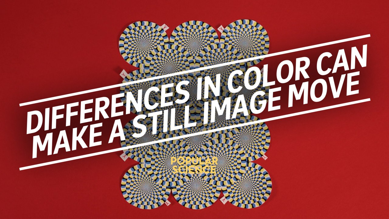 How differences in color can make a still image move (The rotating snakes illusion)