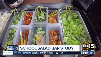 Do school salad bars effect eating habits?