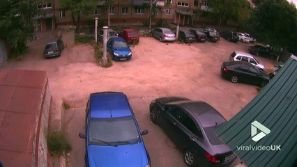 Chute d'un arbre quelques secondes après le passage d'une femme