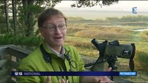 Baie de Somme : à la découverte des oiseaux du parc du Marquenterre
