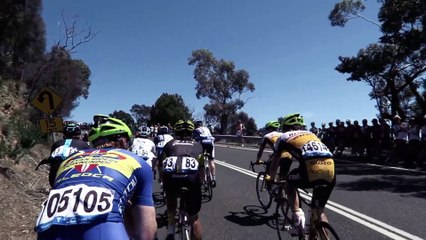 Gros road rage entre un chauffard et un cycliste