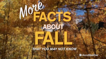 More fall facts you may not know