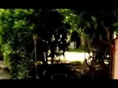 Les Wriggles Nouvel Album