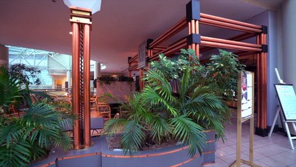 DEAD MALL SERIES : FROM THE 80s to the 70s : Galleria at Erieview OHIO & Eden Mall NC