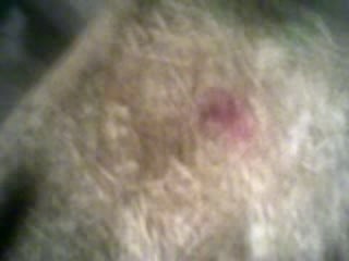 Bébé 2 lili Lundi 5