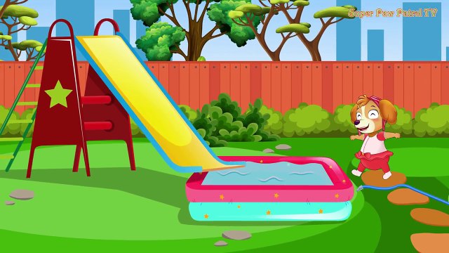 Paw Patrol Ep Skye pierced Chases swimming pool! Finger Family Song Nursery Rhy by William