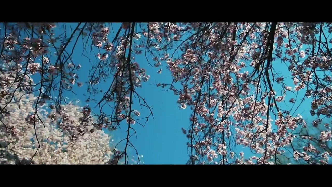 SHOWREEL 2017 by Emir Khuchashev HD