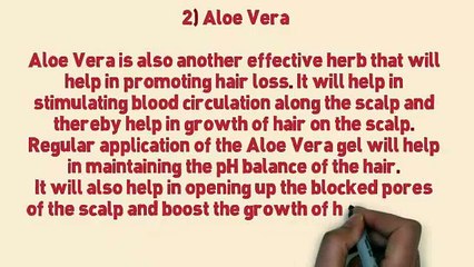 TOP 5 Natural Herbs For Hair Growth. Best selection ever on herbs that help hair growth