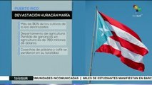 Históricas, cifras de destrucción en cultivos de Puerto Rico por María
