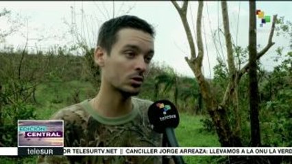 Huracán María destruyó el 80% de los cultivos de Puerto Rico