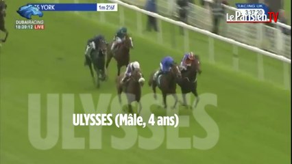 Prix de l'Arc de Triomphe : découvrez les 5 favoris