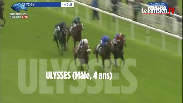 Prix de l'Arc de Triomphe : découvrez les 5 favoris