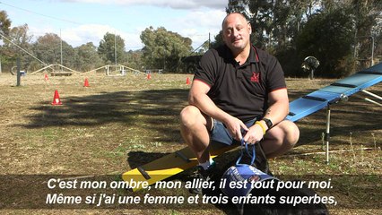 En Australie, des chiens pour soigner le stress post-traumatique