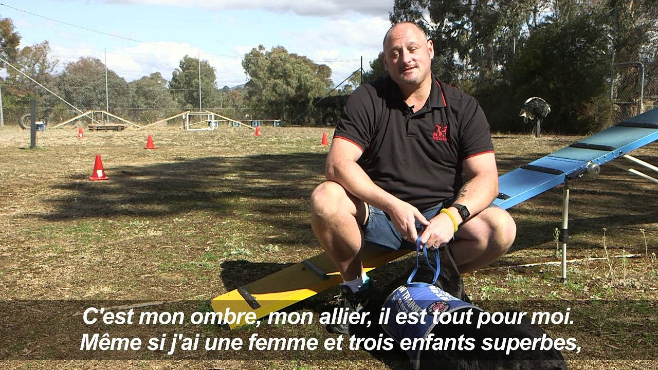 En Australie, des chiens pour soigner le stress post-traumatique