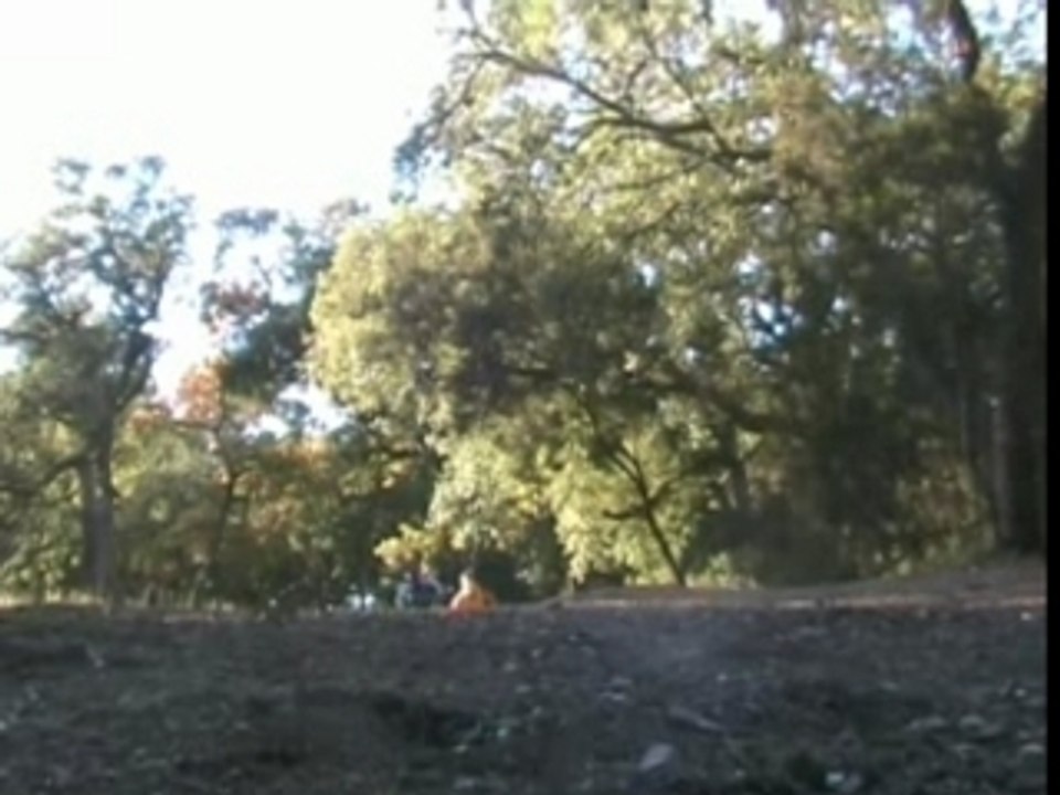 vtt bosses