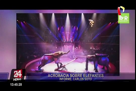 Joven húngaro realiza asombrosas acrobacias con elefantes