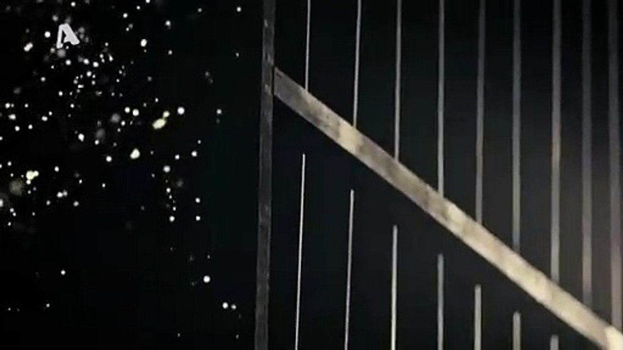 episodio 11