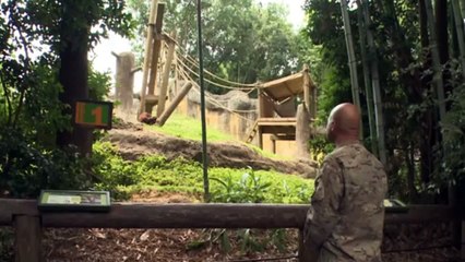 Soldier Surprises Pregnant Wife With Early Return