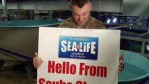 Minn. Soldier Surprises Family as 'Scuba Santa,' Home from Deployment