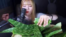 띠미의 엽기적인 병맛 ASMR 껍질 채 먹는 알로에 이팅사운드 [ Aloe eating sound ]