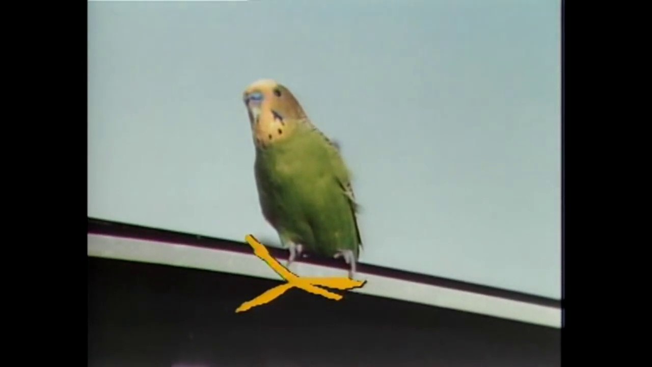 Fridays (1980) - Clip:  Opening Sequence