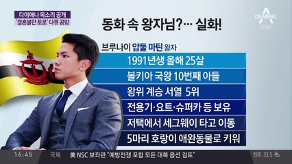 다이애나 목소리 공개…“사생활” vs “역사자료” / 다이애나비 영상 공개에 영국 왕실은 묵묵부답 / 브루나이 압둘 마틴 왕자, 훈훈한 외모에 주목