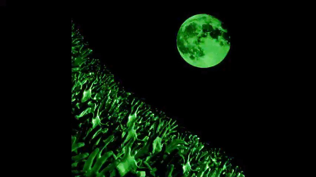 Muse - Thoughts of a Dying Atheist, Vienna Gasometer, 10/25/2003