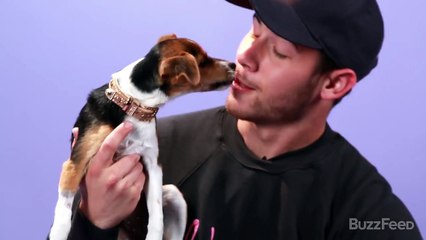 Nick Jonas Plays With Puppies (While Answering Fan Questions)