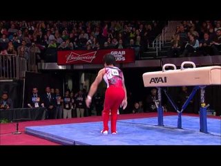 Ryuzo Sejima - Pommel Horse - 2012 AT&T American Cup