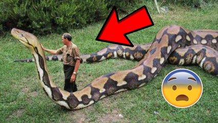 Eğitilen Hayvanların Sırrı