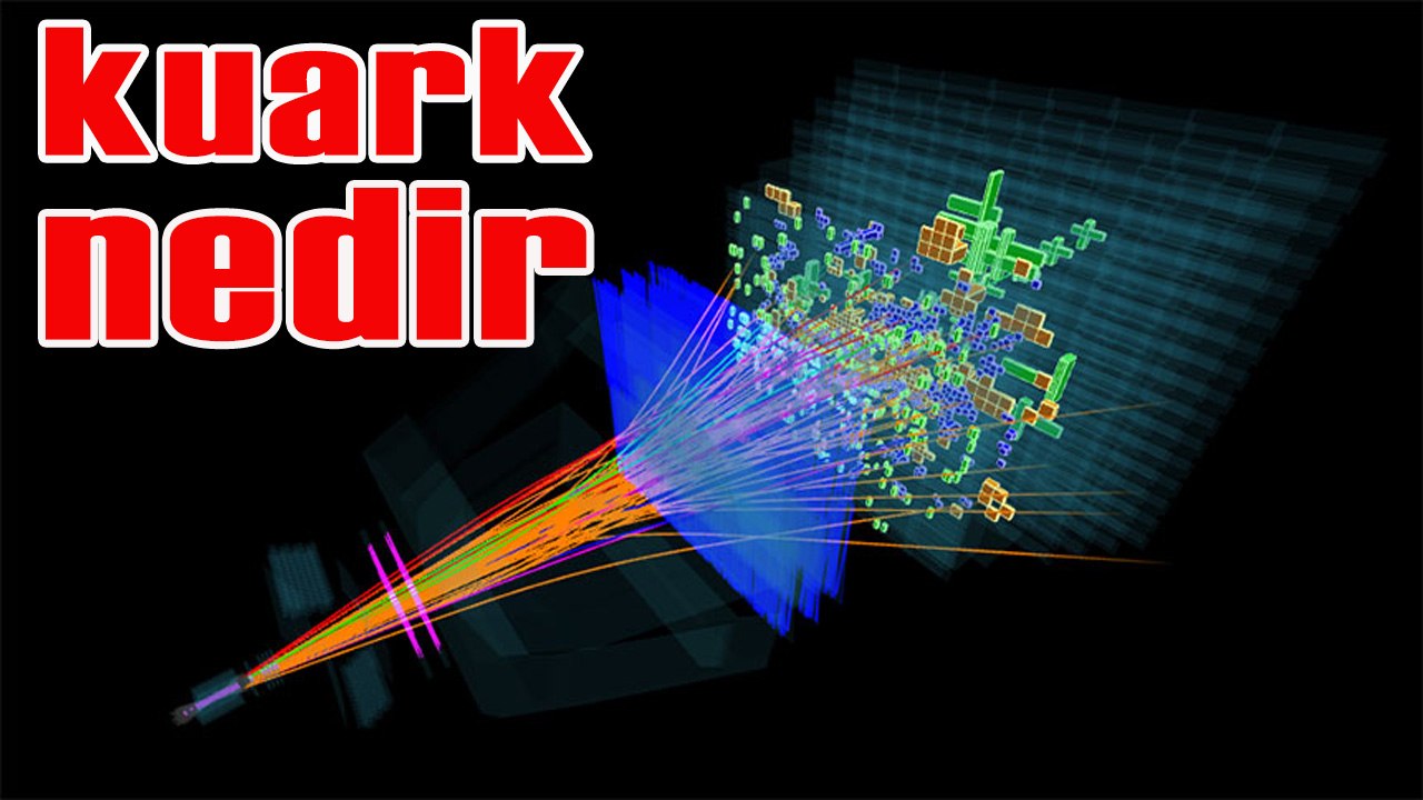 KUARK NEDİR