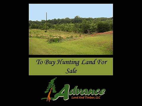 To Buy Hunting Land For Sale