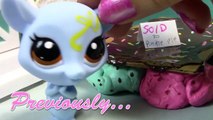 LPS Its Mine! - Diva Dahhhhling - Littlest Pet Shop LPS My Little Pony Series Part 6 Video