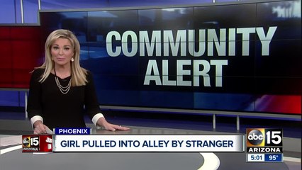 Student pulled into Phoenix alley