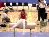 Scott Keswick - Pommel Horse - 1993 Winter Cup