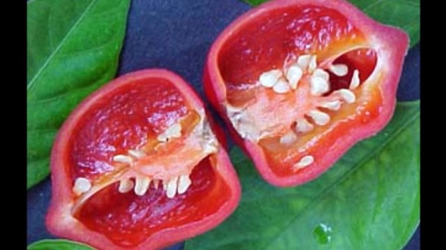 Top Ten Hottest Chilli Peppers in the World 2017
