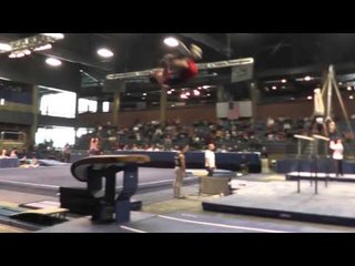 Jesse Silverstein - Vault - 2013 Winter Cup Prelims