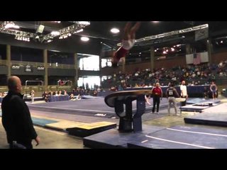 Paul Ruggeri - Vault - 2013 Winter Cup Prelims