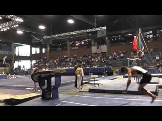 Kevin Wolting - Vault - 2013 Winter Cup Prelims