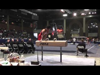 Glen Ishino - Pommel Horse - 2013 Winter Cup Prelims