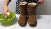 Como limpar botinhas Ugg | How to clean Ugg Boots