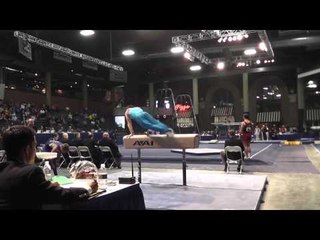 Fabian DeLuna - Pommel Horse - 2013 Winter Cup Prelims
