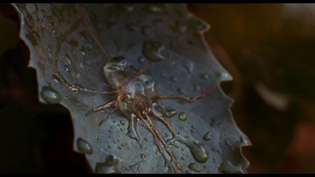 Invasion of the Body Snatchers (1978) - Official Trailer (HD)