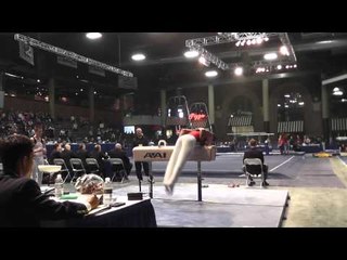 Paul Ruggeri - Pommel Horse - 2013 Winter Cup Prelims