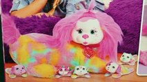 Puppy Surprise Tia & Her Puppies | TOY REVIEW | KiMMi THE CLOWN