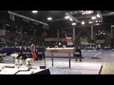 Masayoshi Mori - Pommel Horse - 2013 Winter Cup Prelims